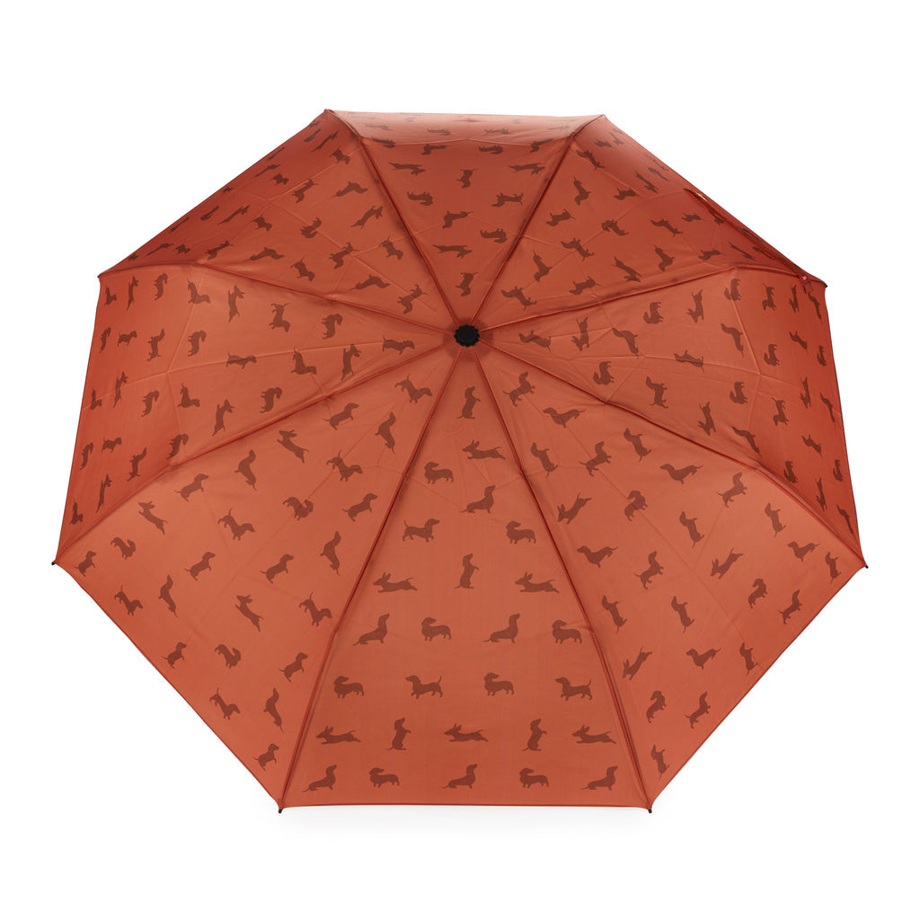 Teckel Umbrella