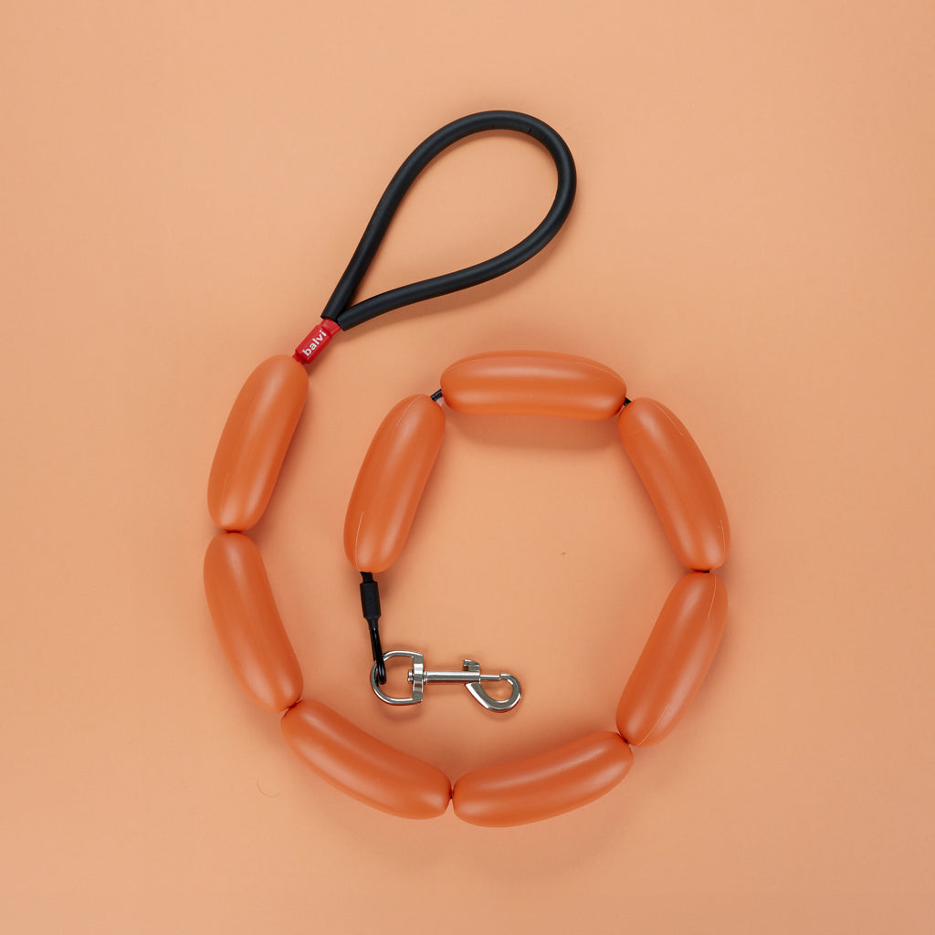 Hot Dog Leash