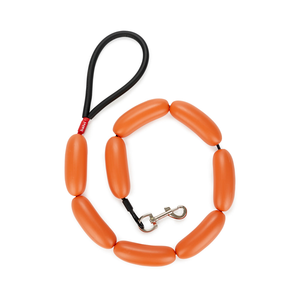 Hot Dog Leash