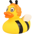 Canard Abeille