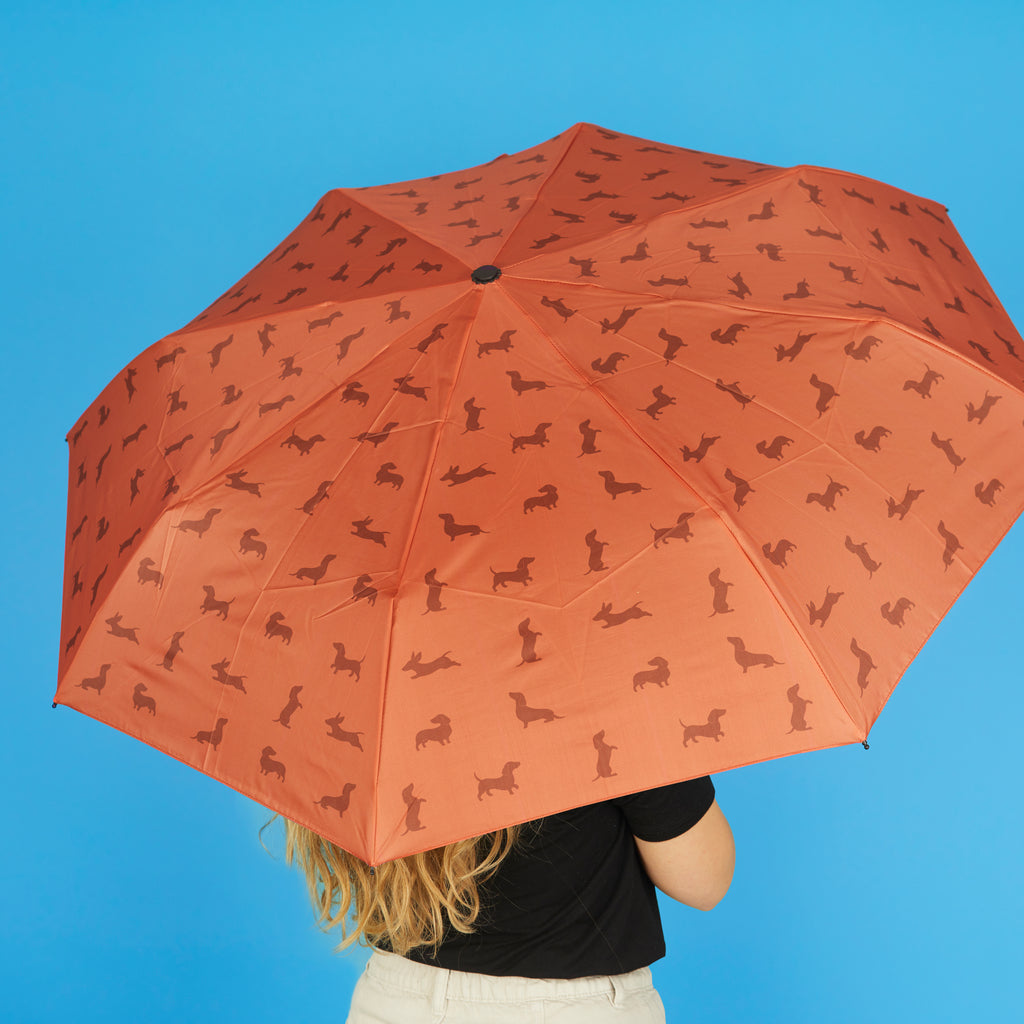 Parapluie Teckel