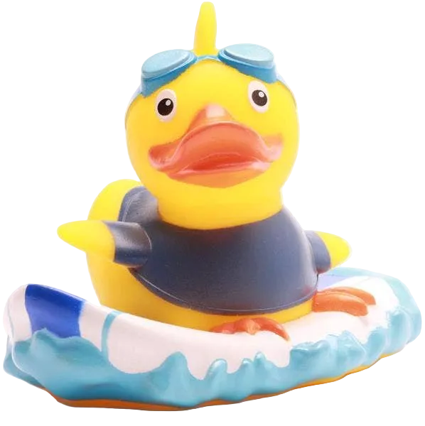 Canard Surfeur