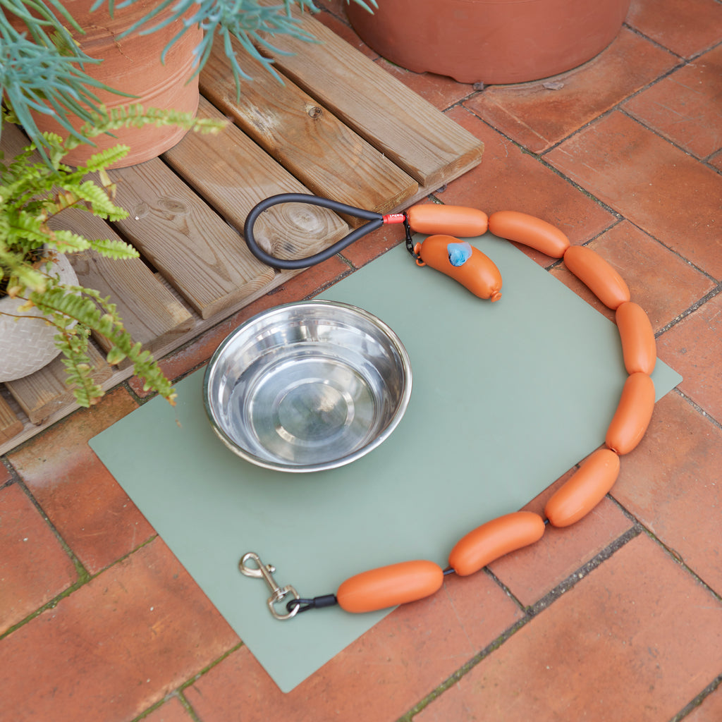 Hot Dog Leash