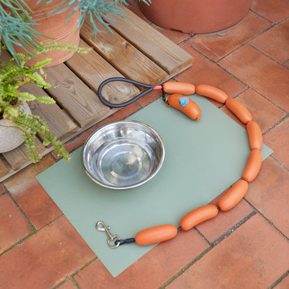 Hot Dog Leash