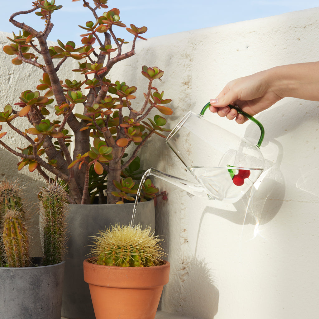 Botanical Cherry Watering Can