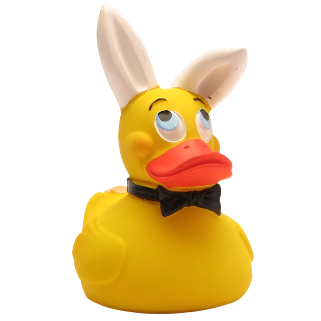 Canard Bunny