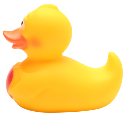 Canard avec Cœur