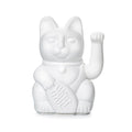 Gato blanco afortunado