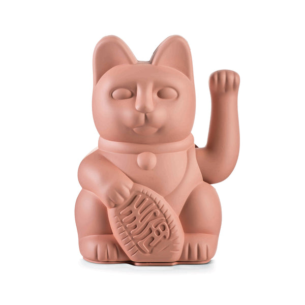 Gatto rosa fortunato