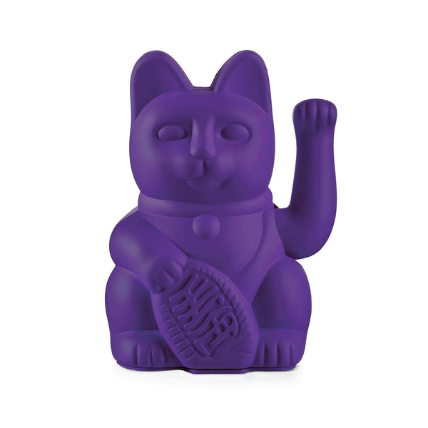 Gatto viola fortunato
