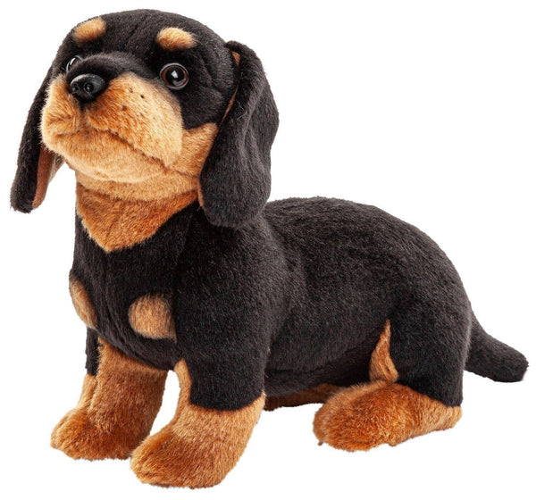 Teckel (sans laisse) - 27 cm (longueur) - peluche Uni Toys