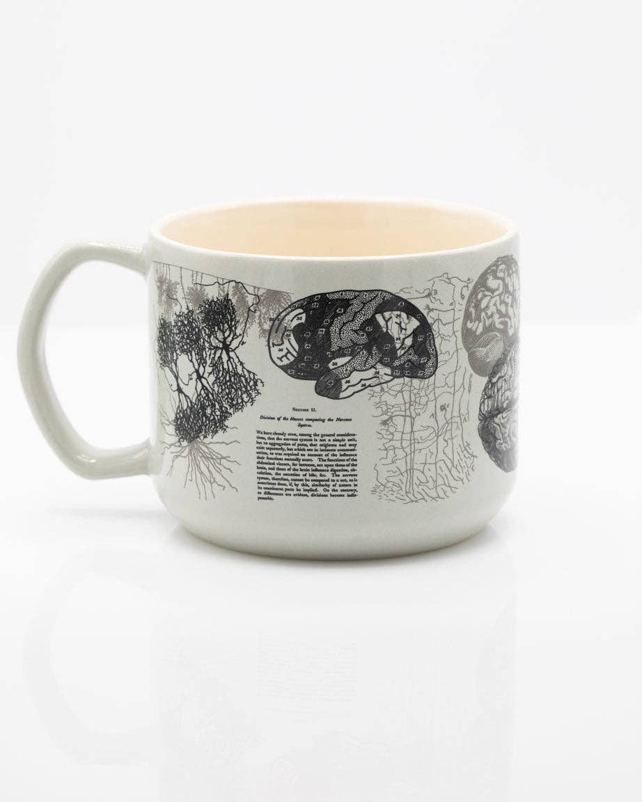 Mug Anatomie du Cerveau – 443 ml