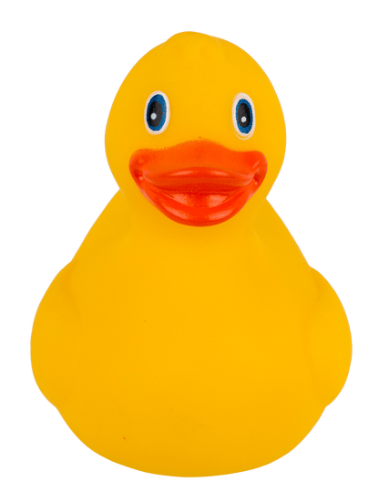 Yellow Squeaking Duck,