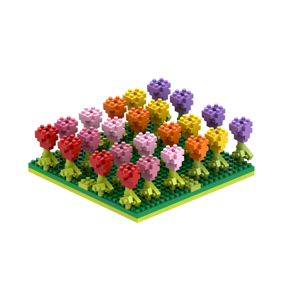 BRIXIES Tulpenfeld