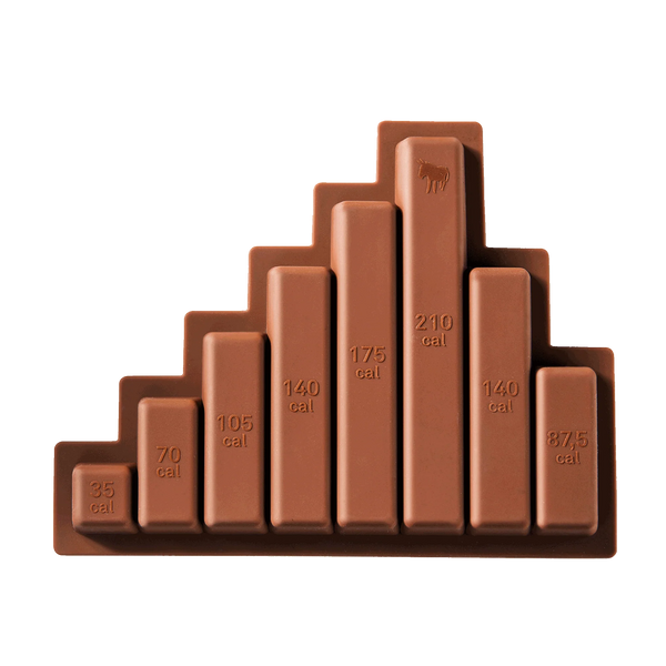 moule a chocolat donkey