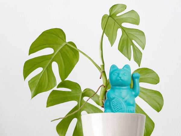 Self Watering Lucky Cat Blue