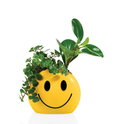 Pot Mood Sunshine