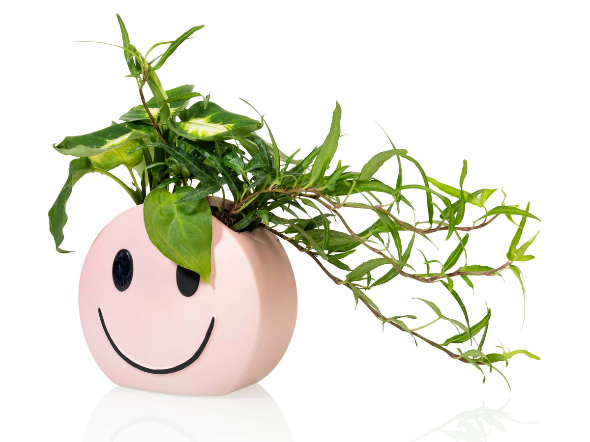 Pot Mood