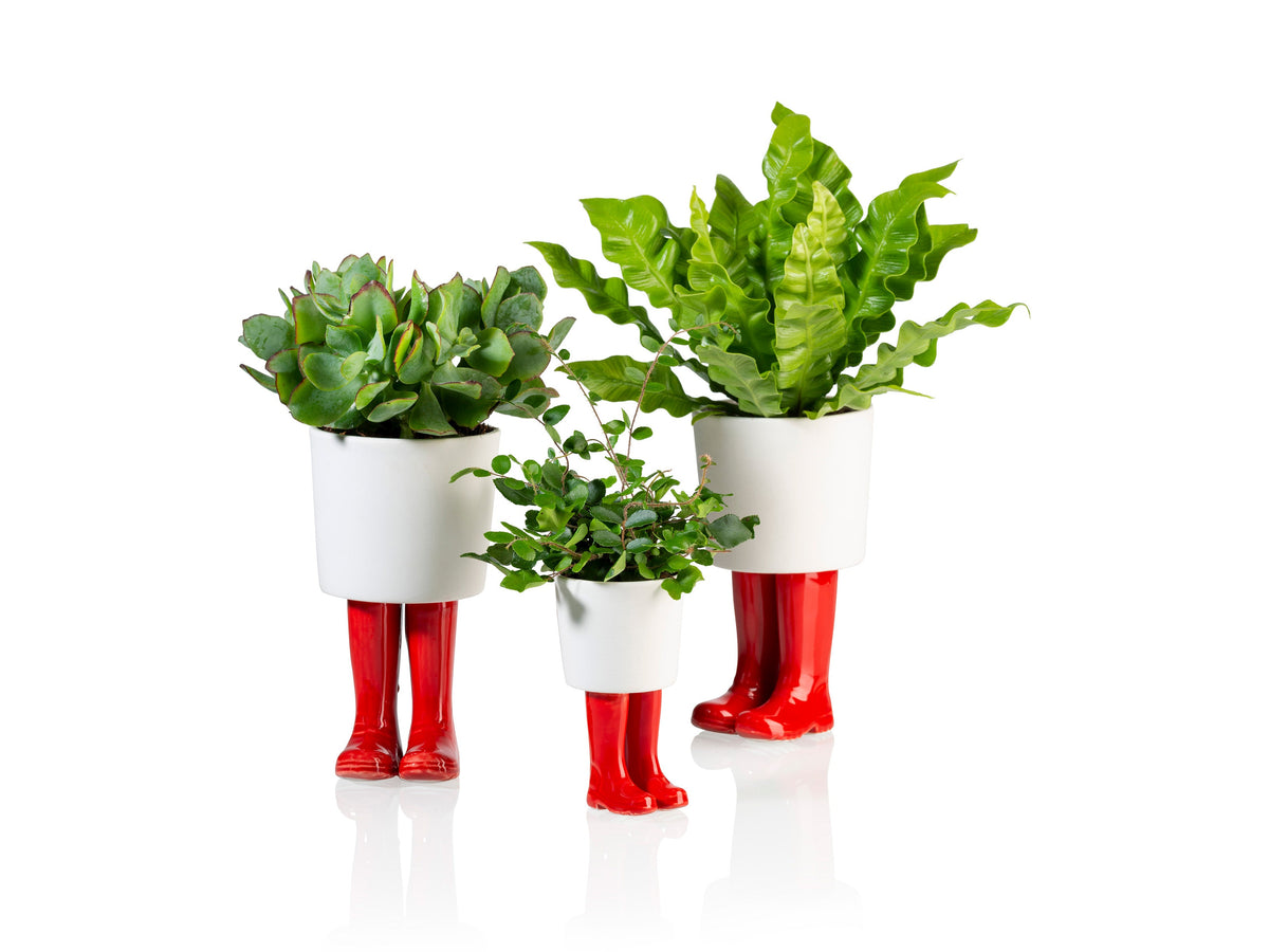 Pot de Fleur Bottes Wellington Rouge – Petit