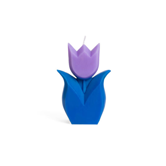 Vela de tulipán azul