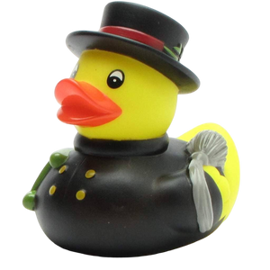 Pato deshollinador
