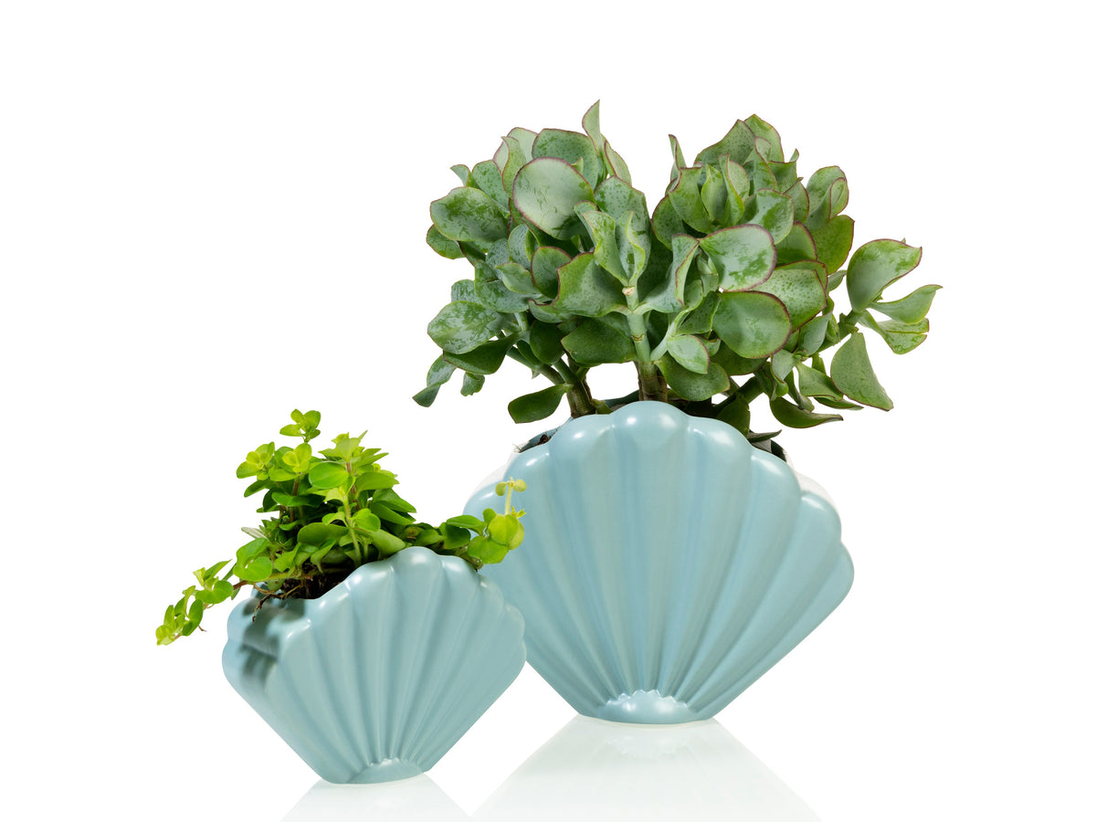Pot de Fleur Coquillage Bleu – Petit