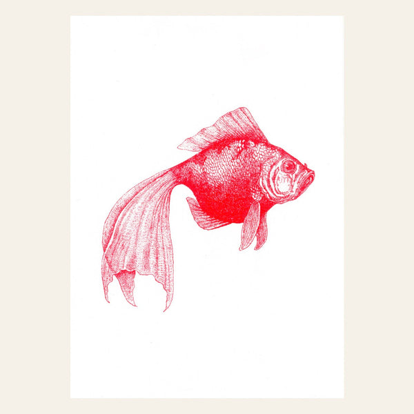 Cartolina con pesce rosso