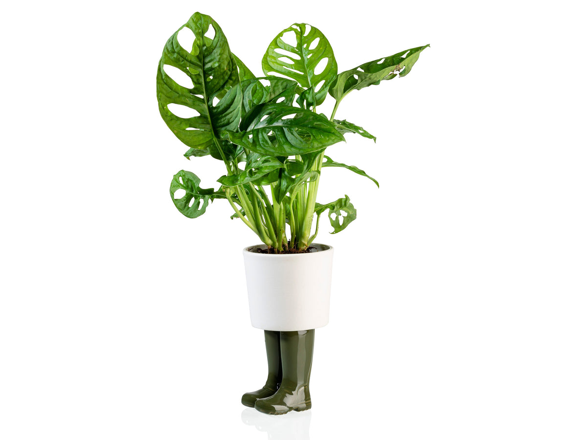 Pot de Fleur Bottes Wellington Vert – Grand