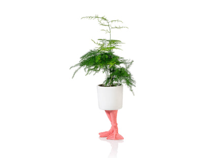 Pot de Fleur Pattes de Flamant Rose – Petit