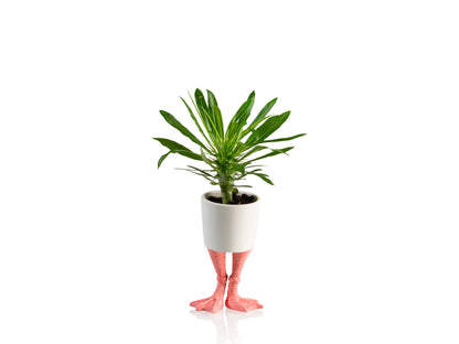 Pot de Fleur Pattes de Flamant Rose – Petit