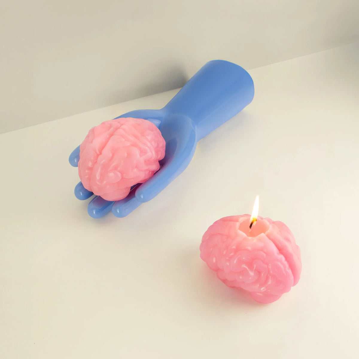 Vela del cerebro