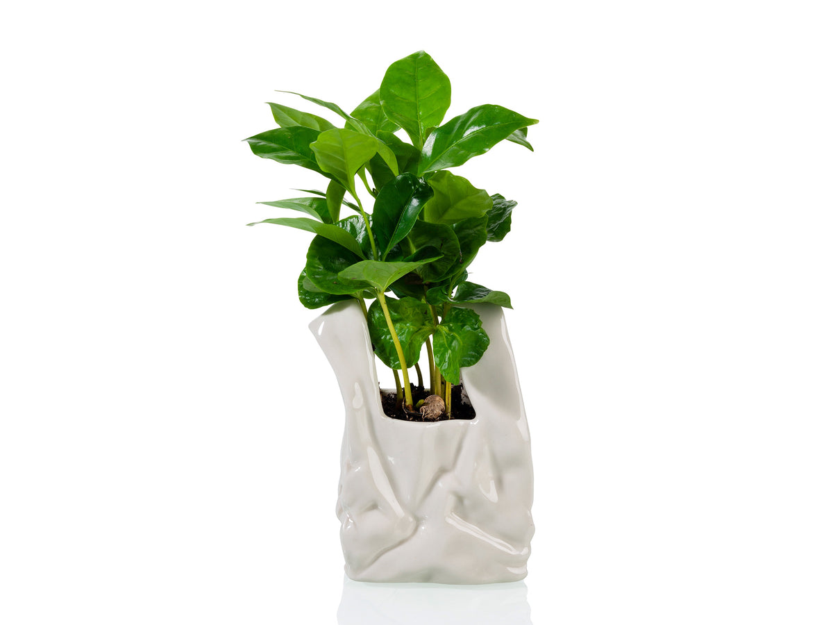 Pot de Fleur « Je ne Suis pas un Sac en Plastique ! » – Petit