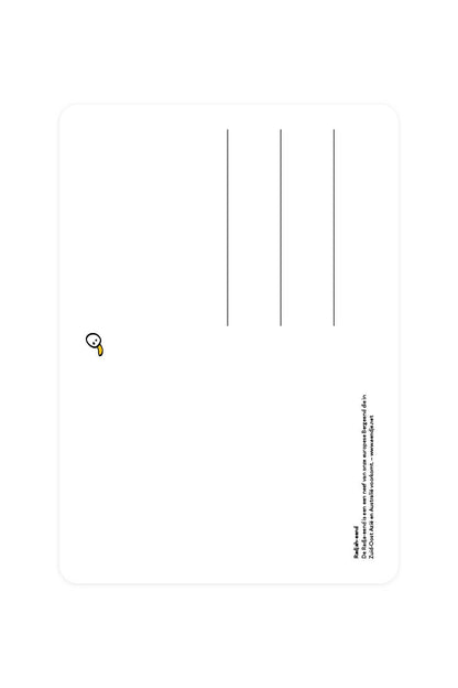 Carte postale avec Radjah Duck