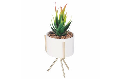 SUCCULENT SEEDLING WITH GOLD STAND H. 17CM 6 ASS - 2188530