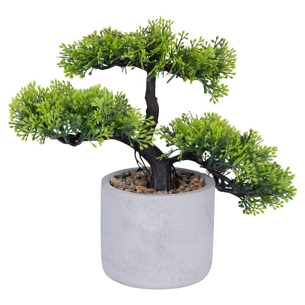 BONSAI PLANT H. 23 A - 2188536