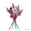 BRIXIES Plus Wild Romance Bouquet