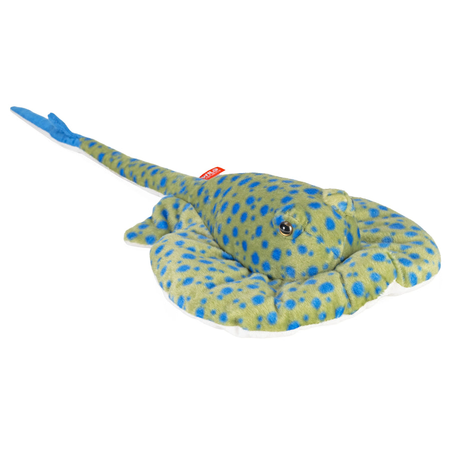Ray
