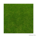 BRIXIES Plus Designer Platte Rasen 32 x 32 Noppen