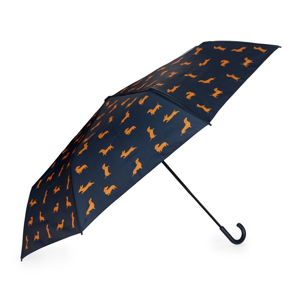 Parapluie Teckel