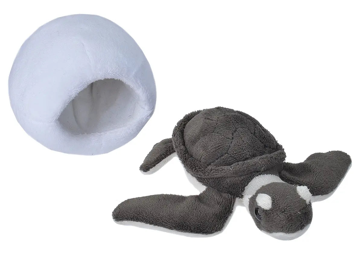 Peluche Tortue de mer verte - 15 cm