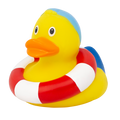 Swimming Duck