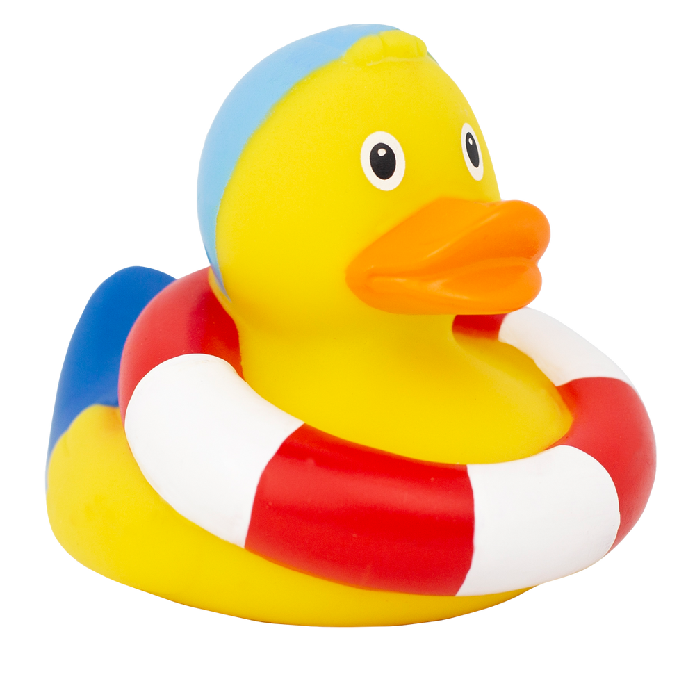 Swimming Duck