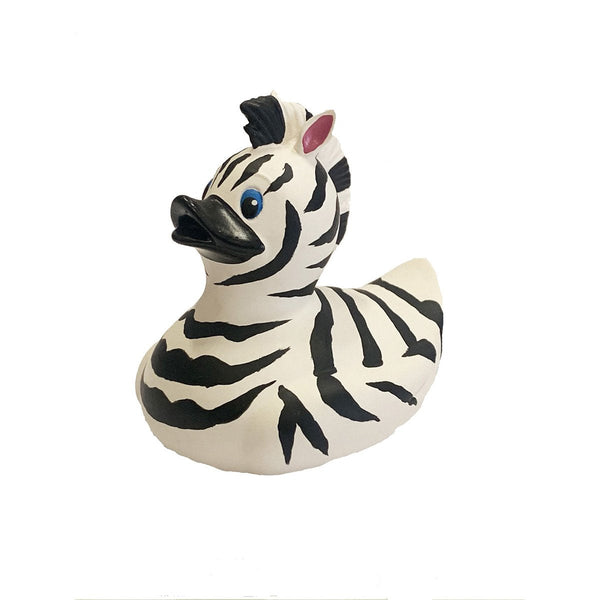 Anatra zebra