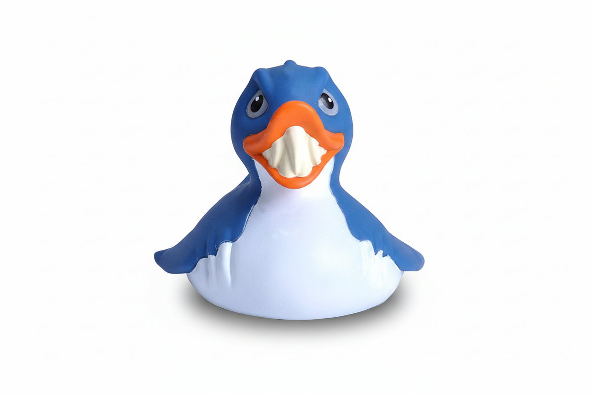 Canard Requin