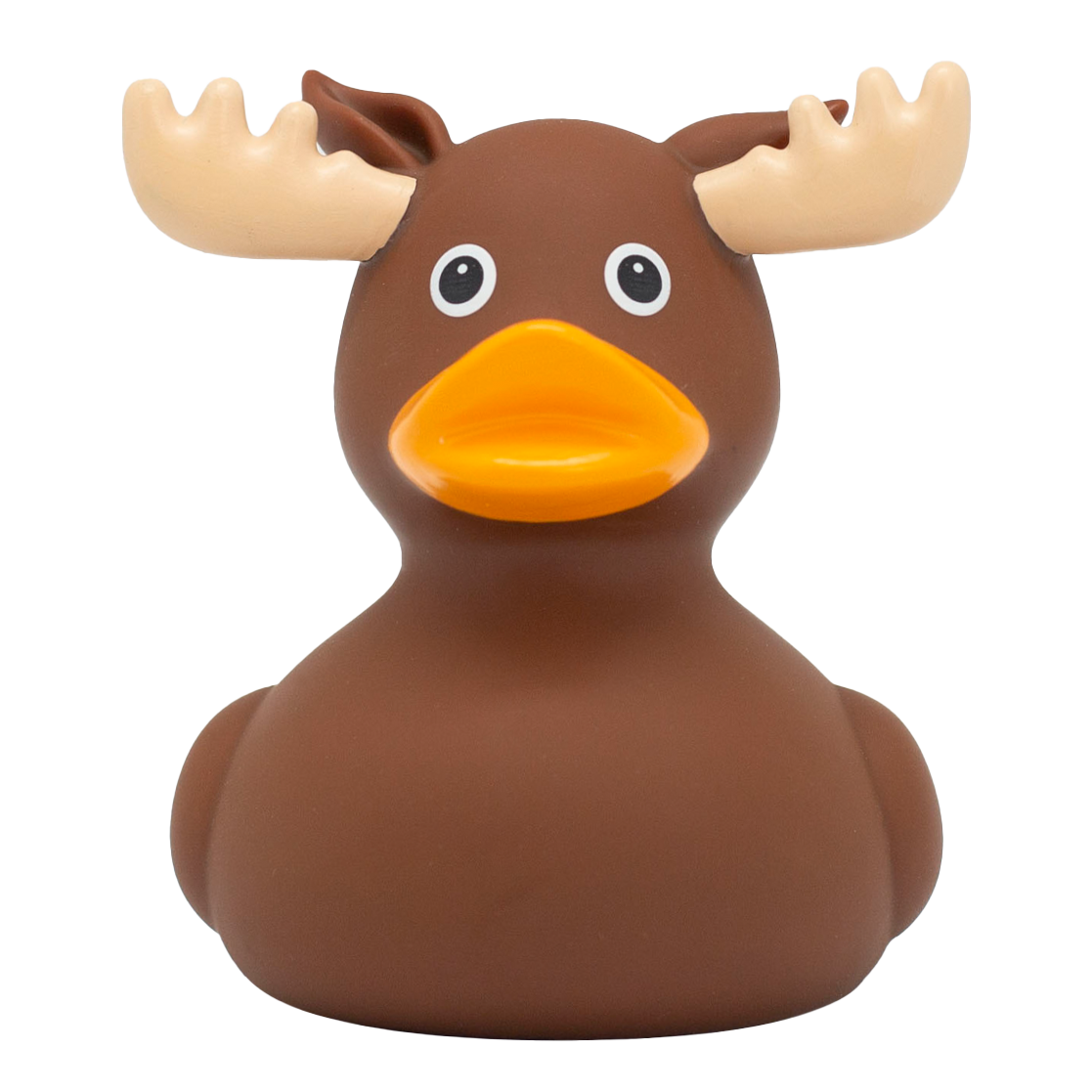 Duck Elk