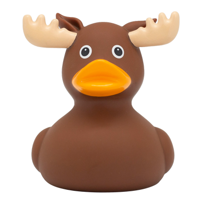 Duck Elk