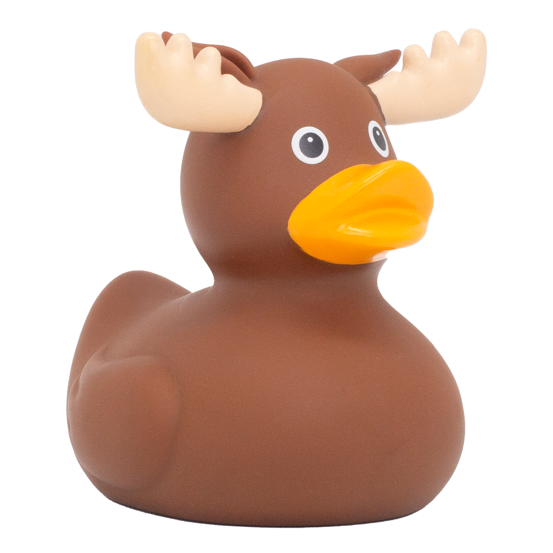 Duck Elk