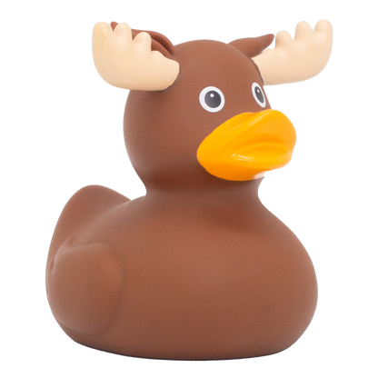 Duck Elk