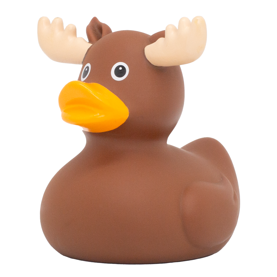 Duck Elk