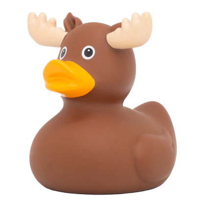 Duck Elk